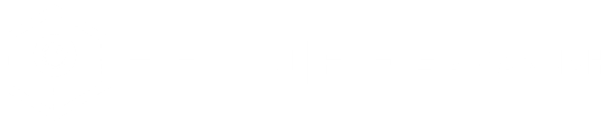 SecureSavannah Logo